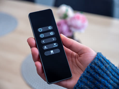Remote in hand